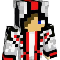 minestorm23 Minecraft avatar bust