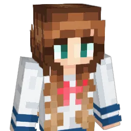 minetours's Minecraft skin