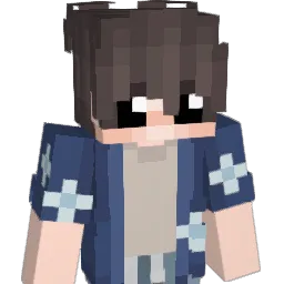 mins71's Minecraft skin