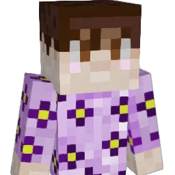 misiuslodki Minecraft avatar bust
