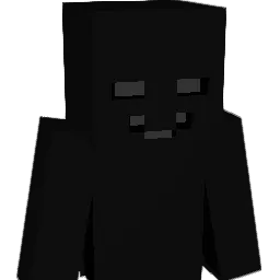 missallyy Minecraft avatar bust
