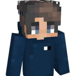 mister11011W Minecraft avatar bust