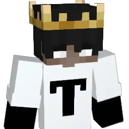 mister_H13 Minecraft avatar bust
