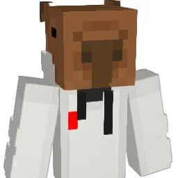 mizui2904 Minecraft avatar bust