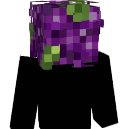 mjmeder Minecraft avatar bust