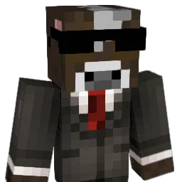 mjn211 Minecraft avatar bust