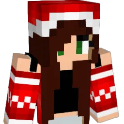 mjs82801 Minecraft avatar bust