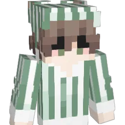 mmateeo Minecraft avatar bust