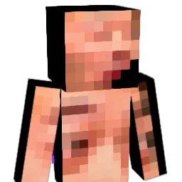 mmmcoleslaw Minecraft avatar bust