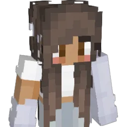 mnorton27 Minecraft avatar bust