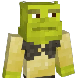 moidici