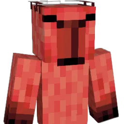 momofloganbiese