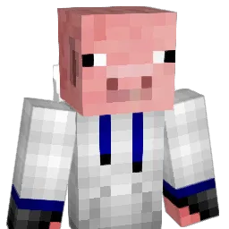 moosey0427 Minecraft avatar bust