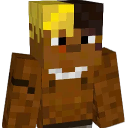 motion1111 Minecraft avatar bust