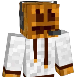 mpidruidzz Minecraft avatar bust