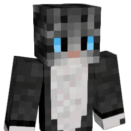 mr__kotik___ Minecraft avatar bust