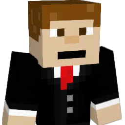 mr_assasin33 Minecraft avatar bust