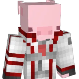 mr_wither1 Minecraft avatar bust