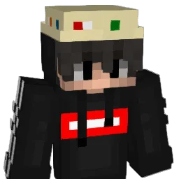 mrbdns's Minecraft skin