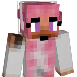 mrhamsterball Minecraft avatar bust