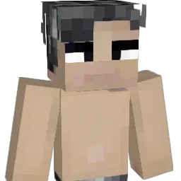 mrshopa5 Minecraft avatar bust