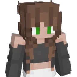 msneta1608's Minecraft skin