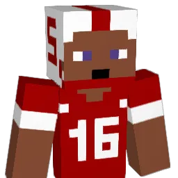 mtr Minecraft avatar bust