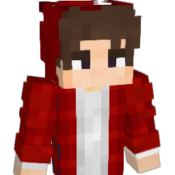 myminer206 Minecraft avatar bust