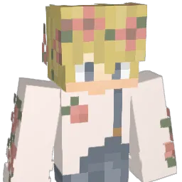 n04hb411 Minecraft avatar bust