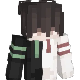 n0t__T0ny Minecraft avatar bust