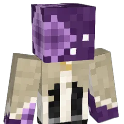 n14lol Minecraft avatar bust
