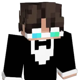 n1cezin Minecraft avatar bust