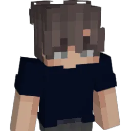 n1gg3rsinthepool Minecraft avatar bust