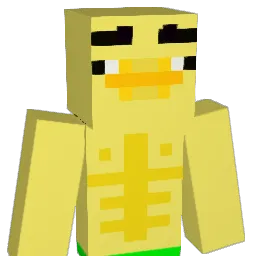 n1karus Minecraft avatar bust