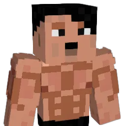 n1ko093 Minecraft avatar bust