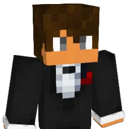 n1vek17 Minecraft avatar bust