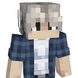 n1zixxx Minecraft avatar bust