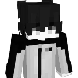 n5l4n
