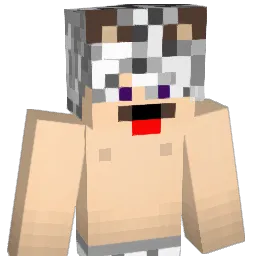 n8j1s Minecraft avatar bust