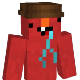 n8sh Minecraft avatar bust