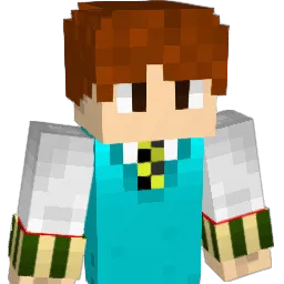 na_me_ Minecraft avatar bust