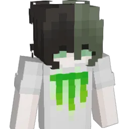 nachokid33 Minecraft avatar bust
