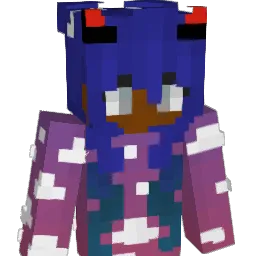 naeee's Minecraft skin
