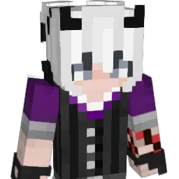nah_bro_ Minecraft avatar bust