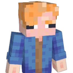 naid_rock