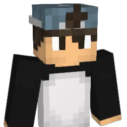 naik's Minecraft skin