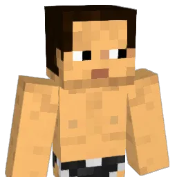 nakapooh Minecraft avatar bust