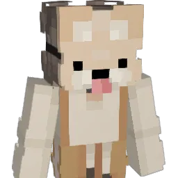 nakota_x Minecraft avatar bust