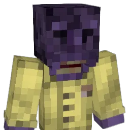 namesaidan Minecraft avatar bust