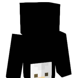 namgame222 Minecraft avatar bust